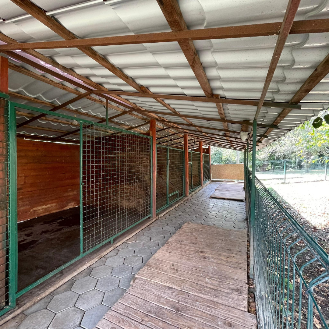 Simpor Dog Resort