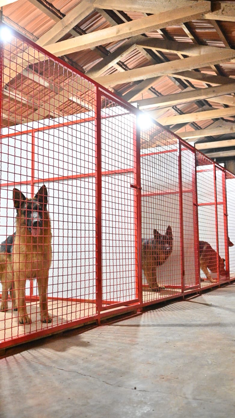 Simpor Dog Resort